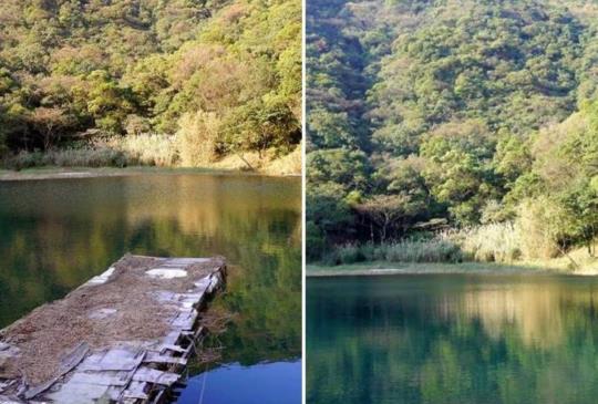 全台十大療癒系森林 如夢似幻令人屏息！